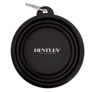 Collapsible dog bowl